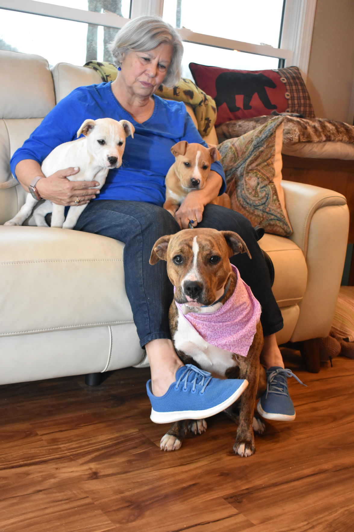 It took a village to save Mama and her pups